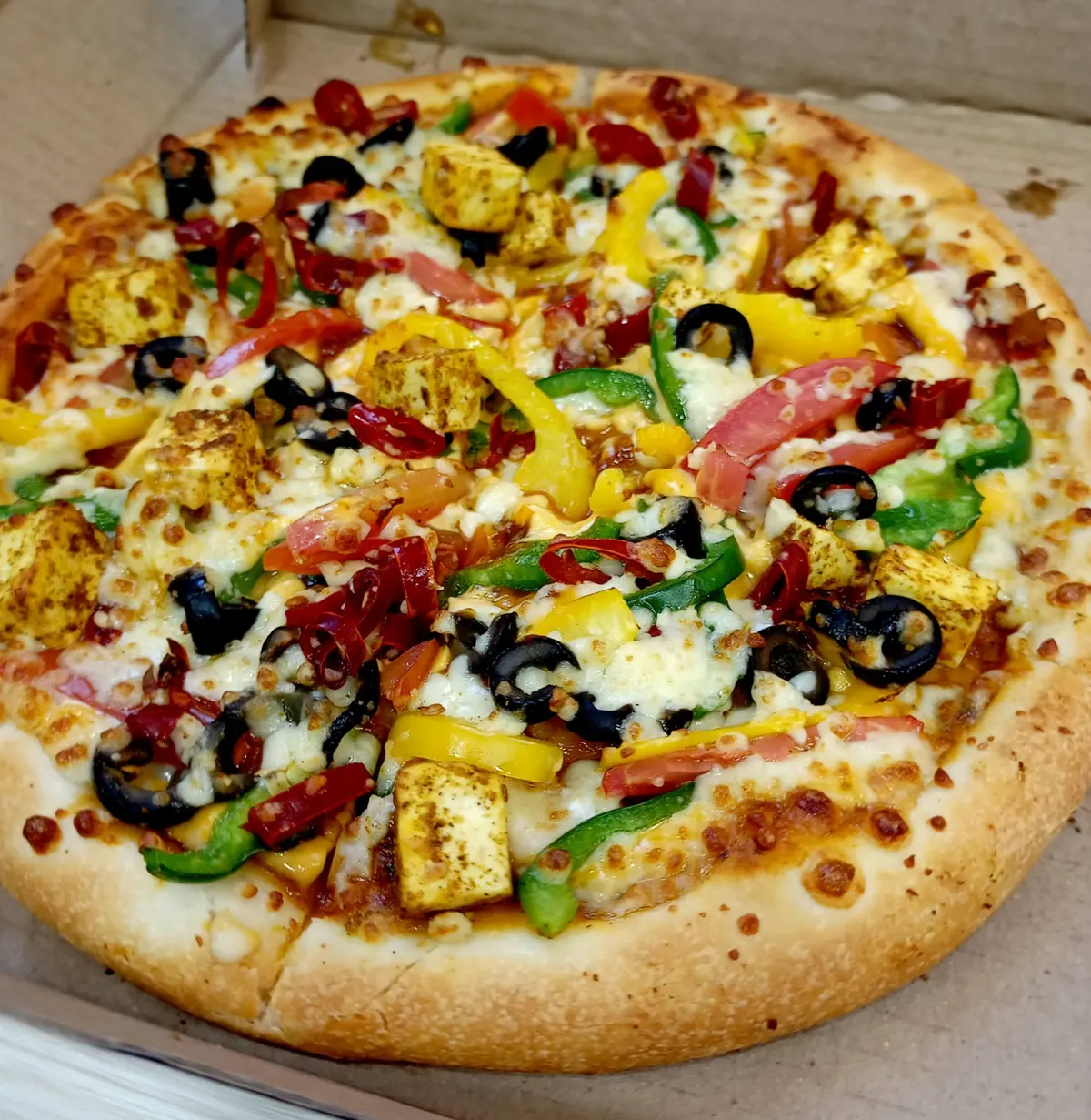 A pizza topped with peppers, olives and mushrooms